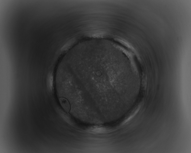 X0000100390589200806061256