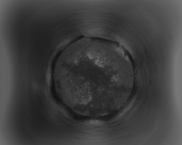 X0000100390590200806061256