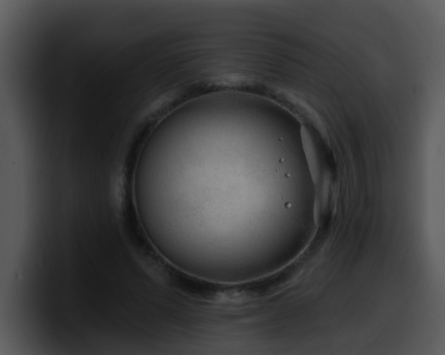 X0000100390591200806061256