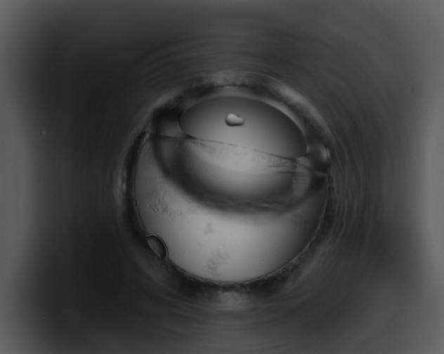 X0000100390592200806061256