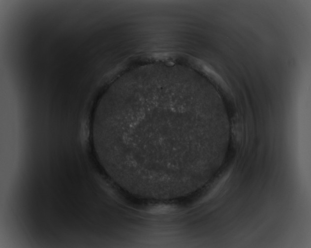 X0000100390593200806061256