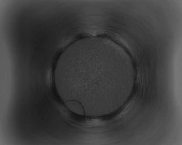X0000100390594200806061256