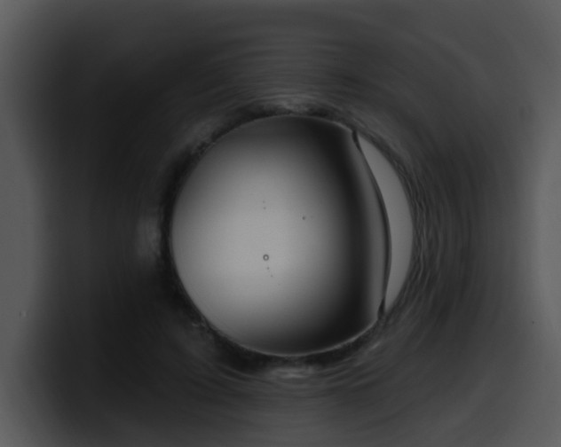 X0000100390595200806061256