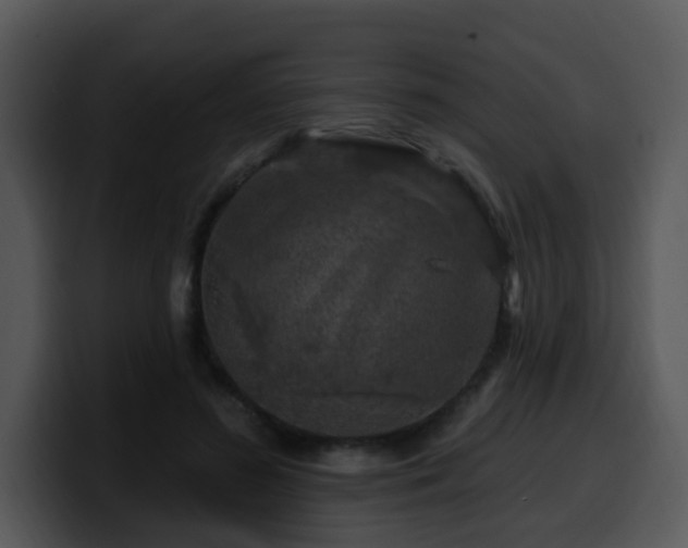 X0000100390596200806061256