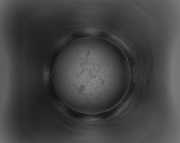 X0000100390597200806061256