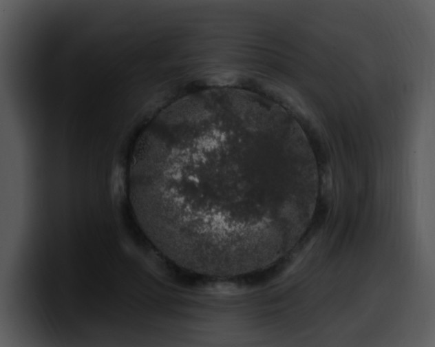 X0000100390598200806061256