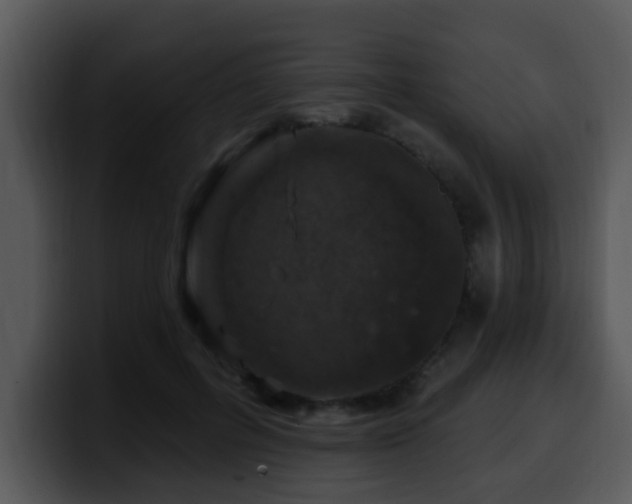 X0000100390600200806061256