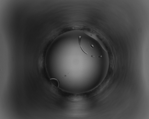 X0000100390604200806061256