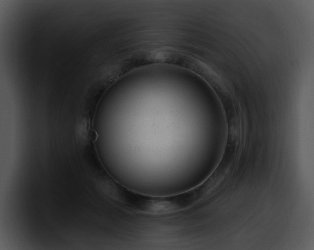 X0000100390605200806061256