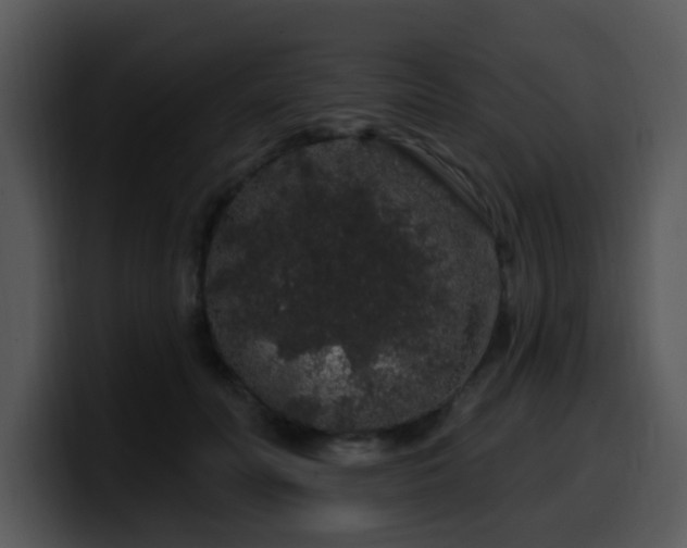 X0000100390606200806061256