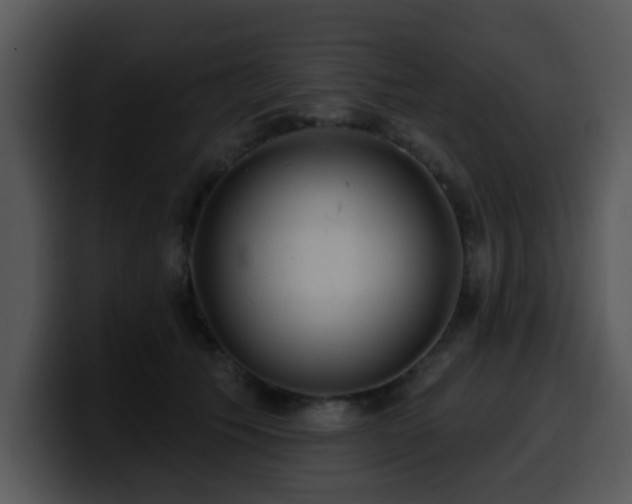 X0000100390609200806061256