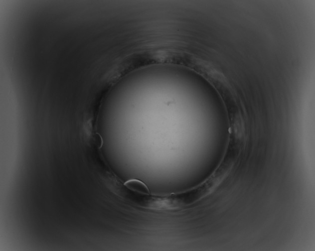 X0000100390611200806061256