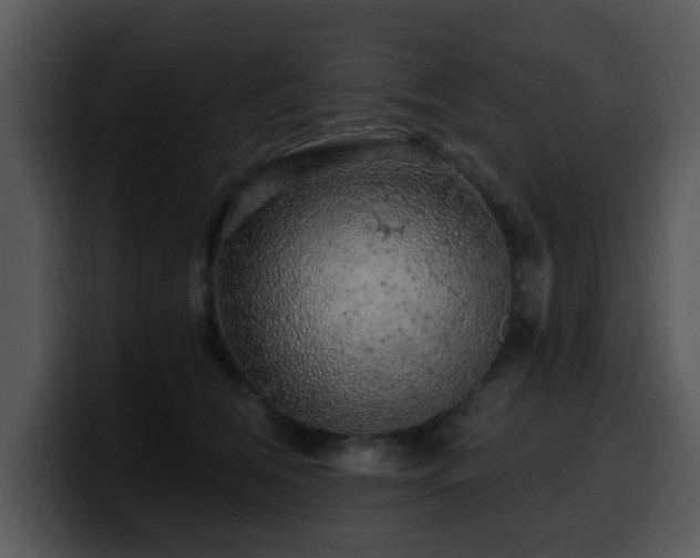 X0000100390612200806061256