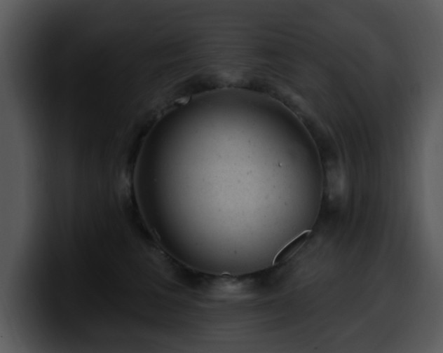 X0000100390613200806061256