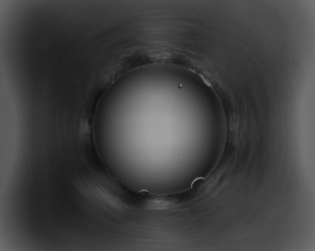 X0000100390614200806061256
