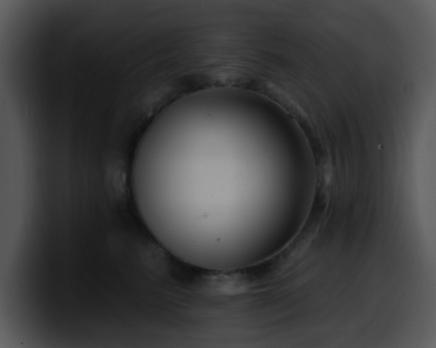X0000100390615200806061255