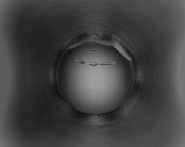X0000100390616200806061255