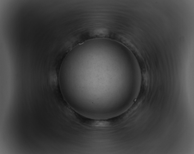X0000100390617200806061255
