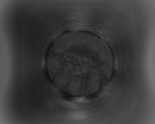 X0000100390618200806061255