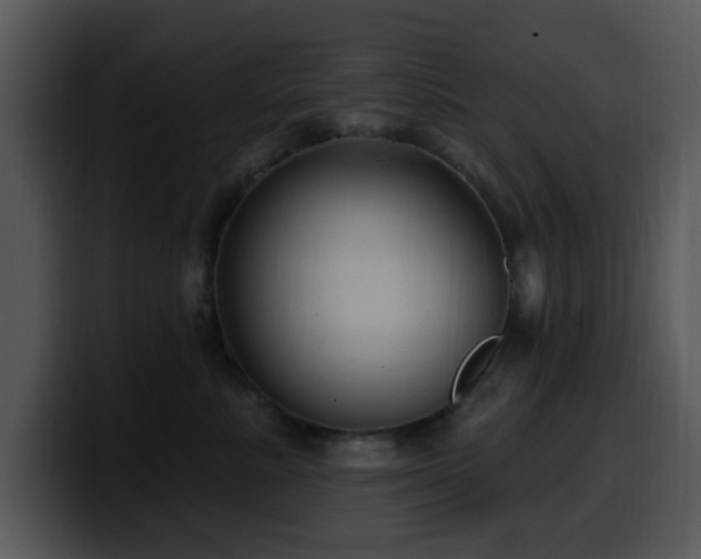 X0000100390619200806061255