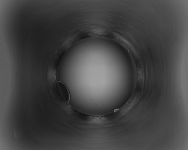 X0000100390621200806061255
