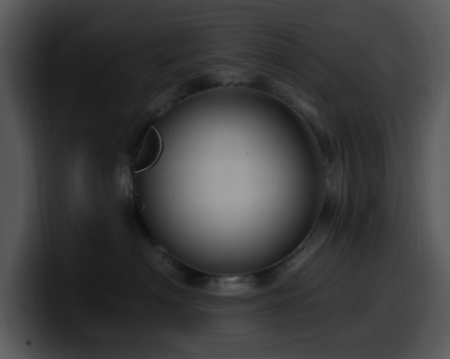 X0000100390622200806061255