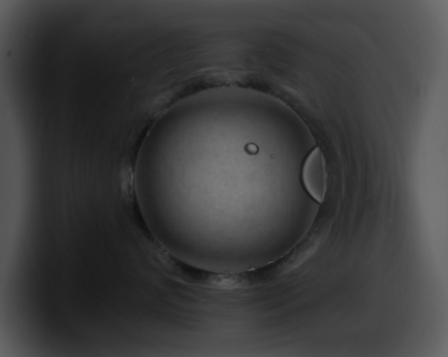 X0000100390624200806061255