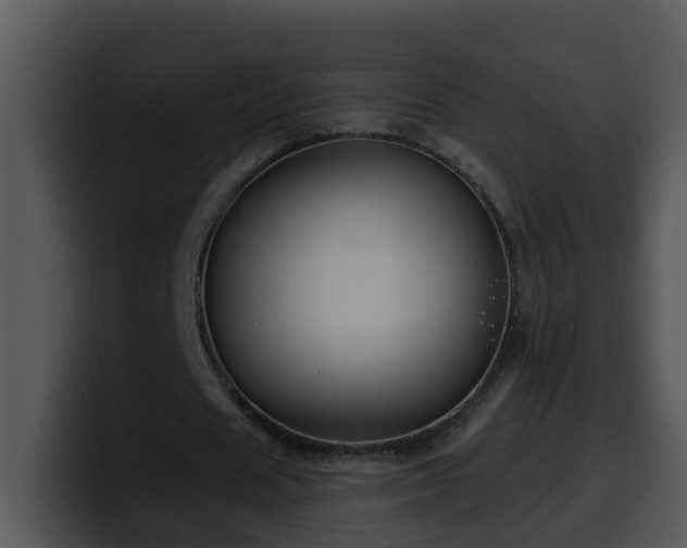 X0000100390625200806061255