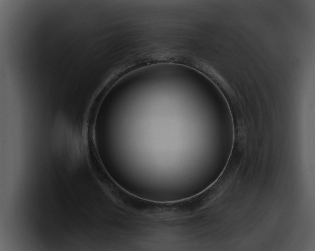 X0000100390626200806061255