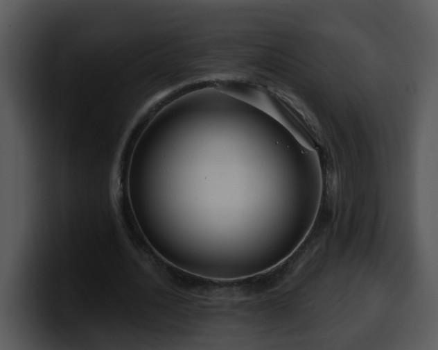 X0000100390628200806061255