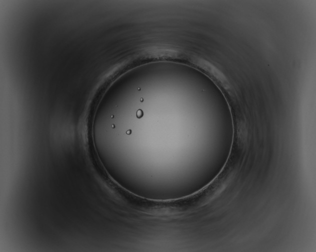 X0000100390629200806061255