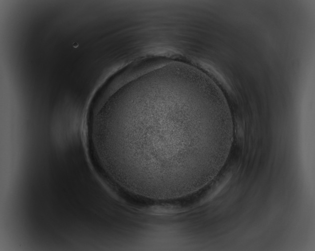X0000100390630200806061255