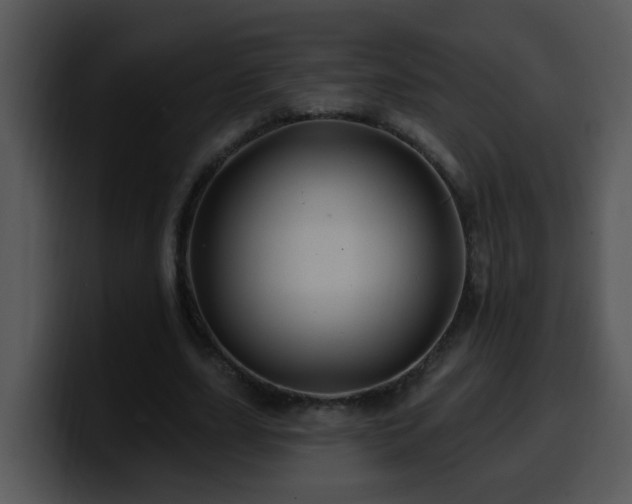 X0000100390631200806061255