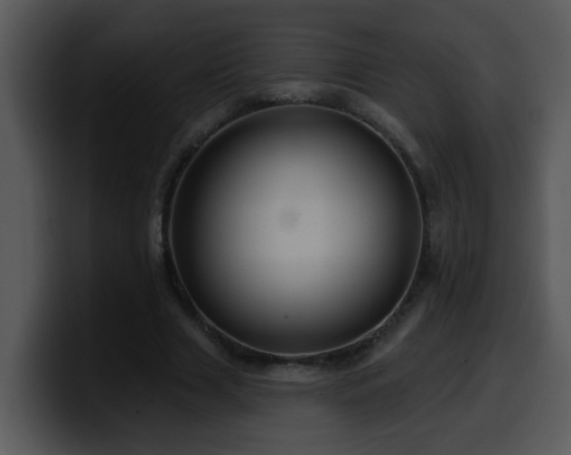 X0000100390633200806061255