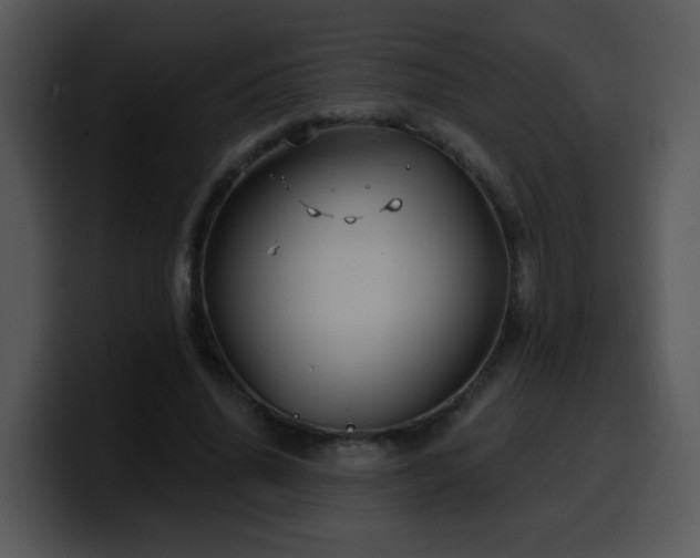 X0000100390636200806061255