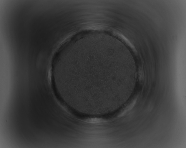 X0000100390637200806061255