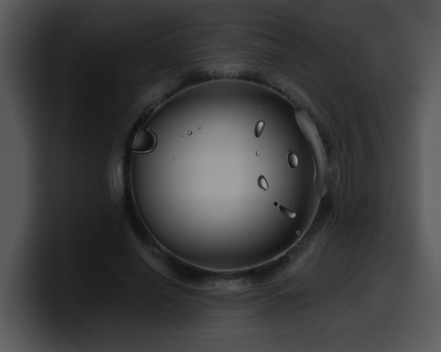 X0000100390638200806061255