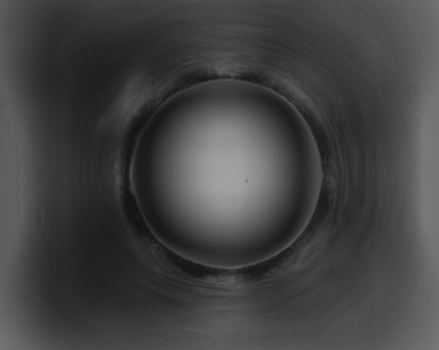 X0000100390639200806061255