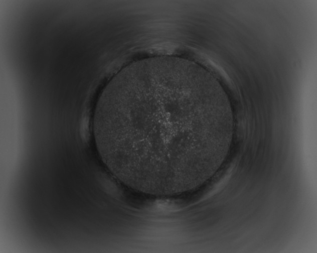 X0000100390641200806061255