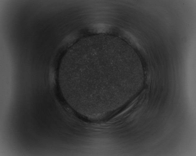 X0000100390643200806061255