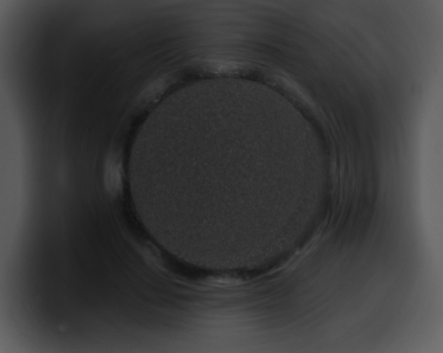 X0000100390644200806061255