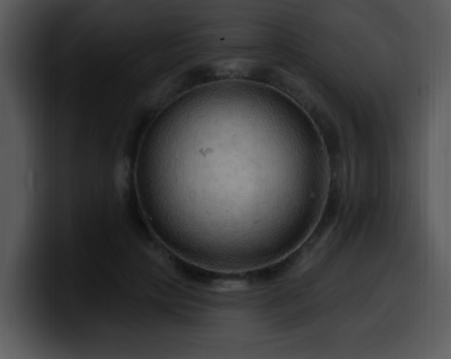 X0000100390649200806061255