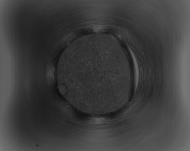 X0000100390650200806061255