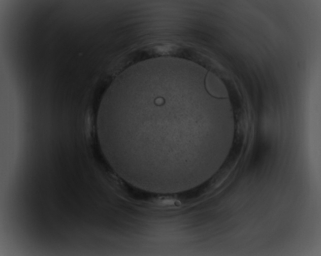 X0000100390651200806061255