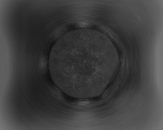 X0000100390653200806061255
