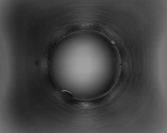 X0000100390654200806061255