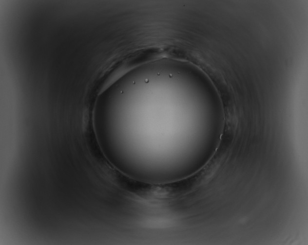 X0000100390656200806061255