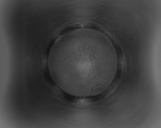 X0000100390657200806061255