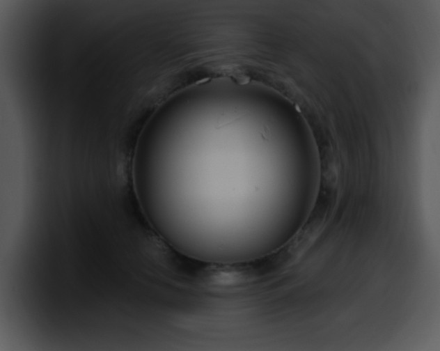 X0000100390658200806061255