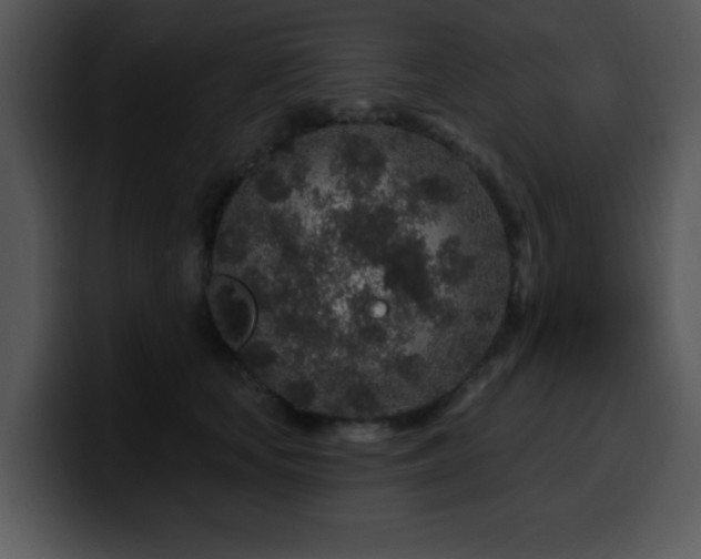 X0000100390659200806061255